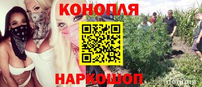эйфоретик Гусь-Хрустальный